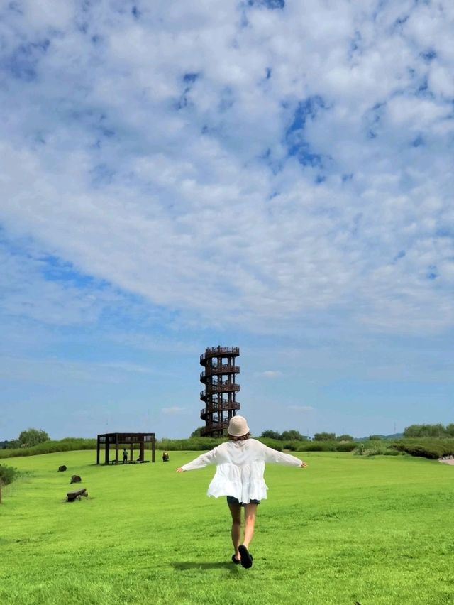 서울근교 힐링스팟 💚🌿갯골생태공원