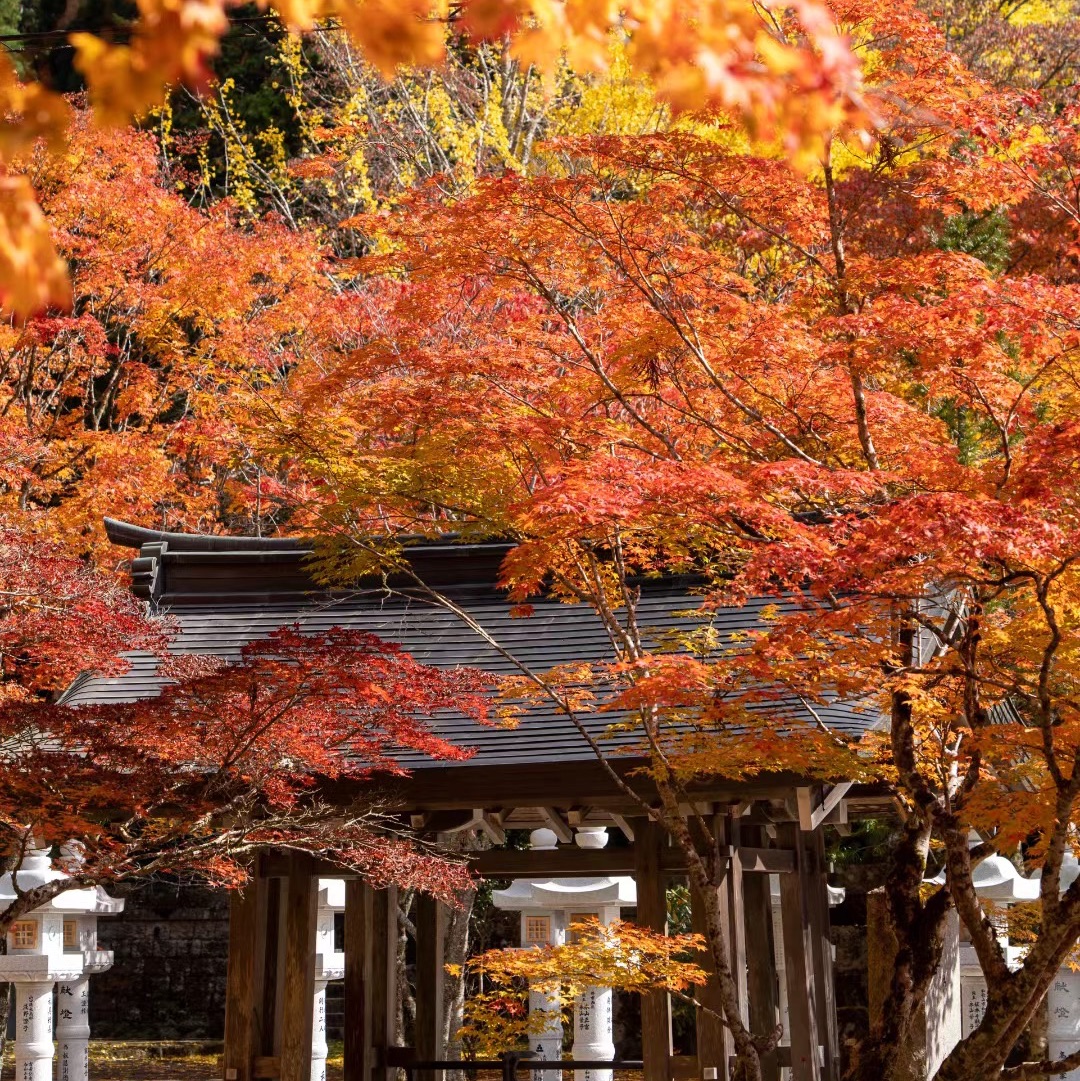 2025 長野 観光スポット]善光寺の観光ガイド（11月更新） | Trip