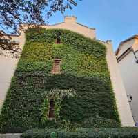 思南路體驗老上海