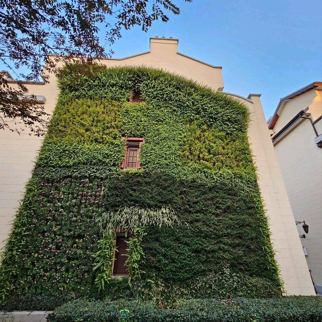 思南路體驗老上海 思南路體驗老上海