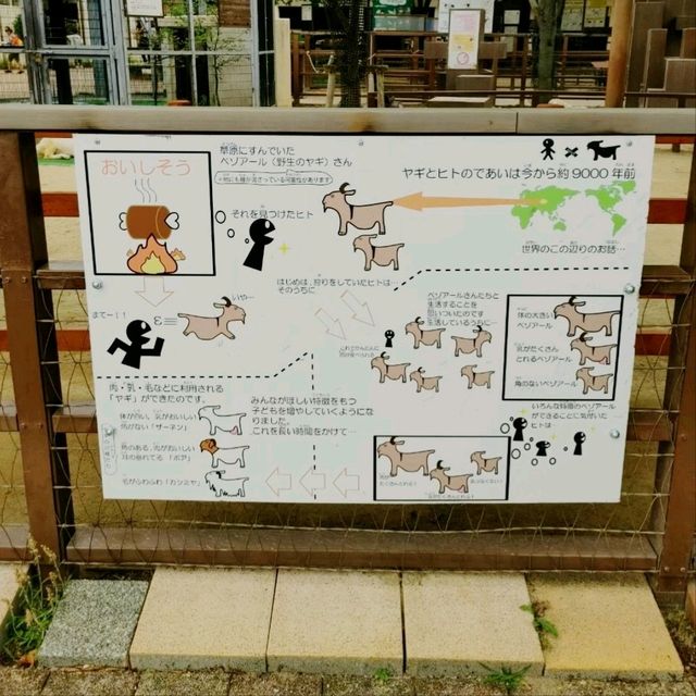おとぎの国？野生動物を見た人間の感想がだいたい「美味しそう」