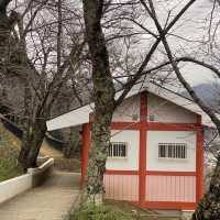 富士美景 新倉山淺間公園