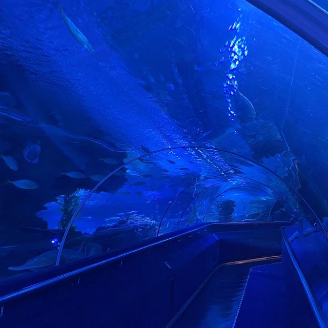 Aquaria KLCC