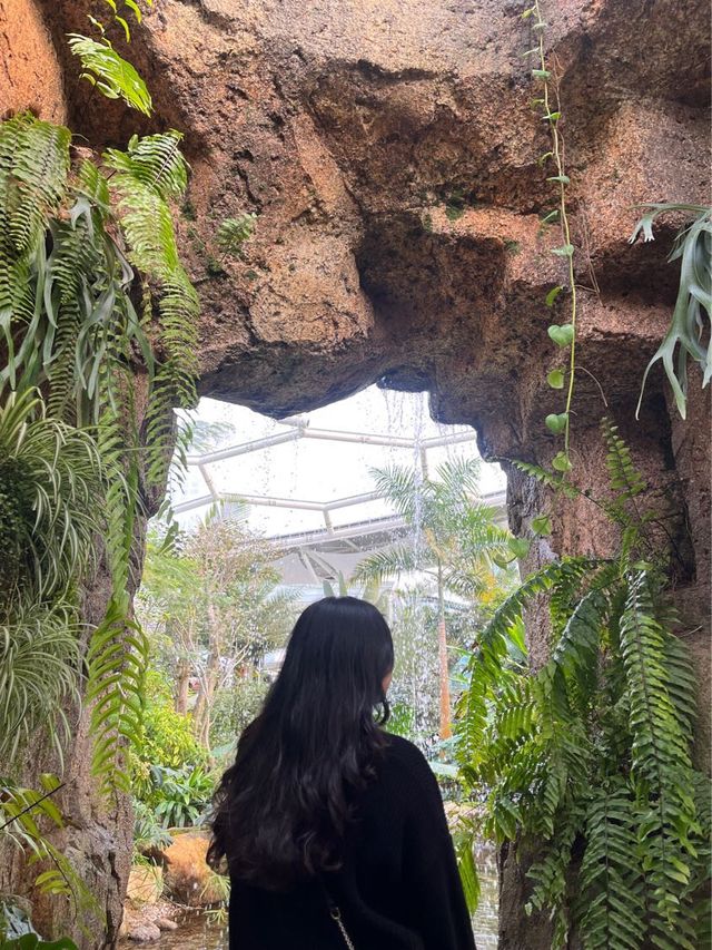 부천 실내 데이트로 강추하는 상동호수공원 수피아 식물원 🌿