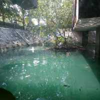 Melody Coffee