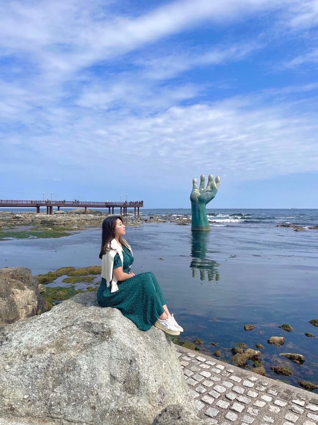 포항항에서 만난 노오란 유채꽃밭 🌼💛