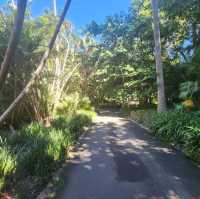 Mount Coot-Tha