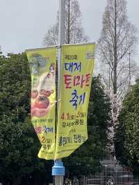 부산에서 즐기는 이색축제