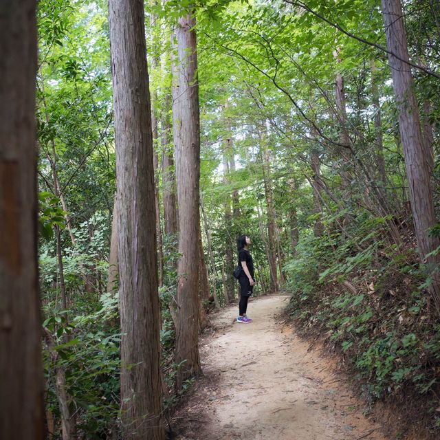 【登山】愛知県猿投山で気軽に登山⛰