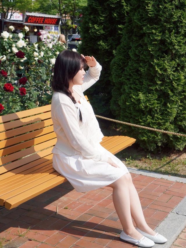 대구에서 가장 핫한 유명장미명소 🌹💗