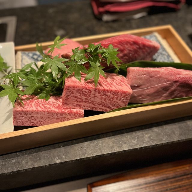 【大阪・北新地】経験豊富なシェフの技が光る芸術的な肉割烹「友百合」