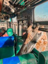 Safari Park กาญจนบุรี 