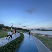 最美公園之深圳人才公園