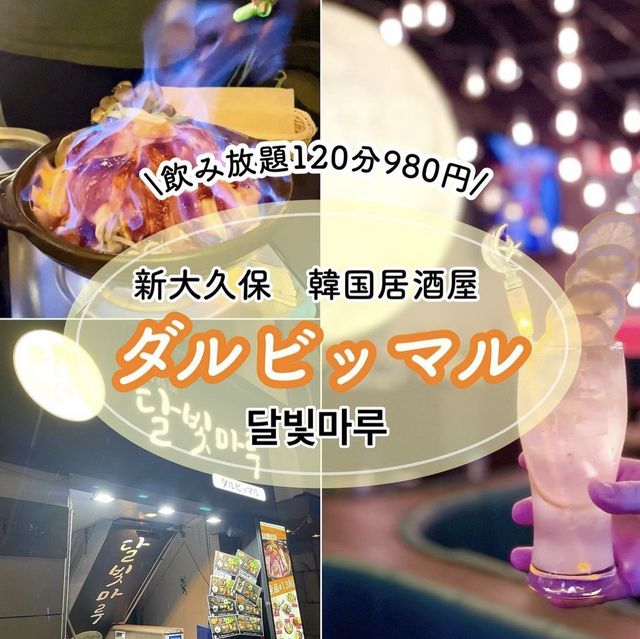 【新大久保】飲み放題あり雰囲気よし🌙🇰🇷ダルビッマル