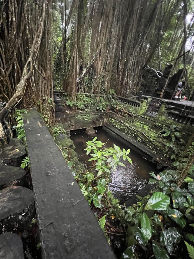Monkey Forest In Ubud Is Instagrammable⁉️🐒