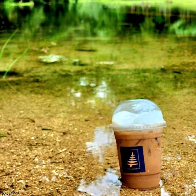 𝚃𝚑𝚊𝚖•𝚖𝚊•𝚌𝚑𝚊𝚛𝚝 𝙲𝚊𝚏𝚎' 🌿 คาเฟ่ใกล้ชิดธรรมชาติ🍃