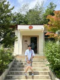 춘천 폐교를 카페로 바꾼 오월학교💛