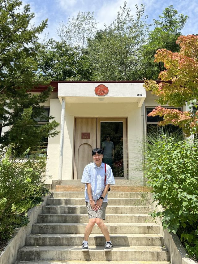 춘천 폐교를 카페로 바꾼 오월학교💛