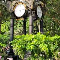 Beauty of Singapore Botanical Gardens