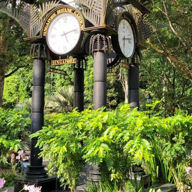 Beauty of Singapore Botanical Gardens