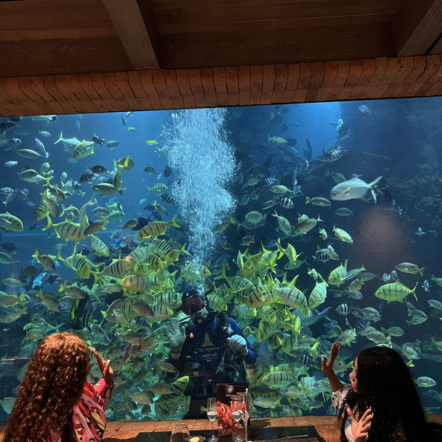 Underwater Dinning Experience at Koral Bali 