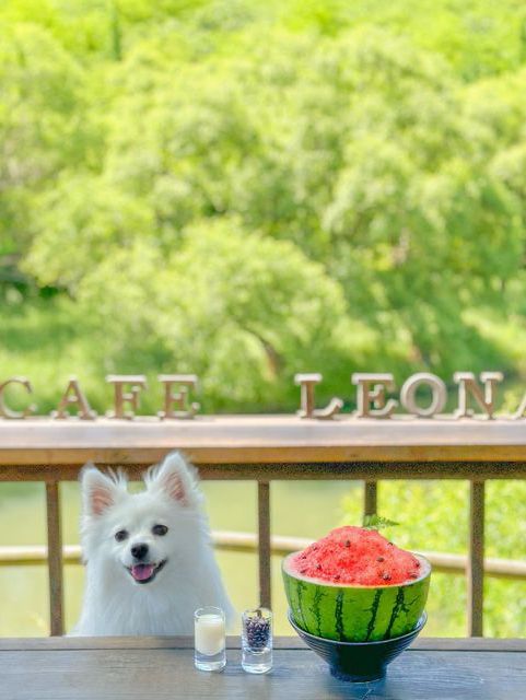 이제는 수박빙수의 계절🍉🍧❤️