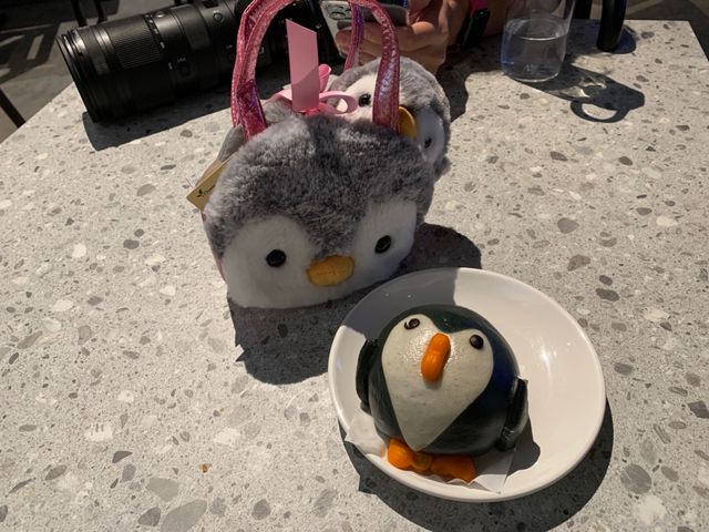 🐧Penguin Cove ❄️