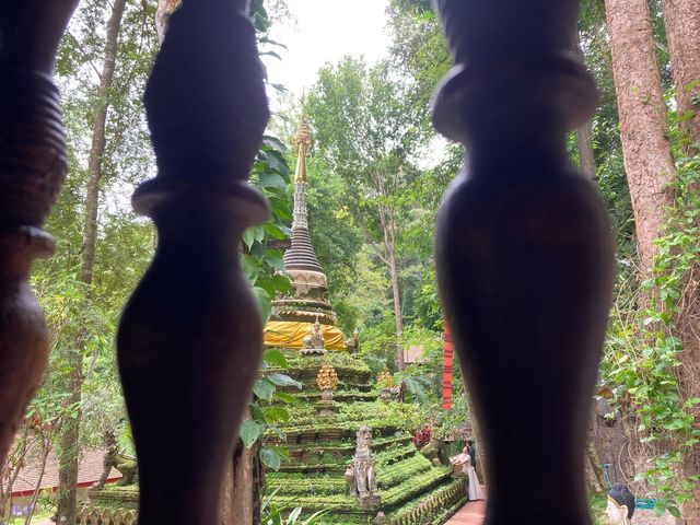 ทริปไหว้ขอบคุณ ‘วัดผาลาด’