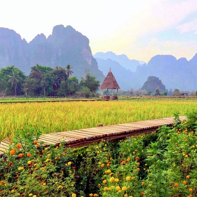 เวียงธารา ที่พักท่ามกลางทุ่งนา แลนด์มาร์ควังเวียง 