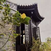 🏛️🌸🏞️嶺南奇蹟🏺廣州文化館🏛️🌸🏞️