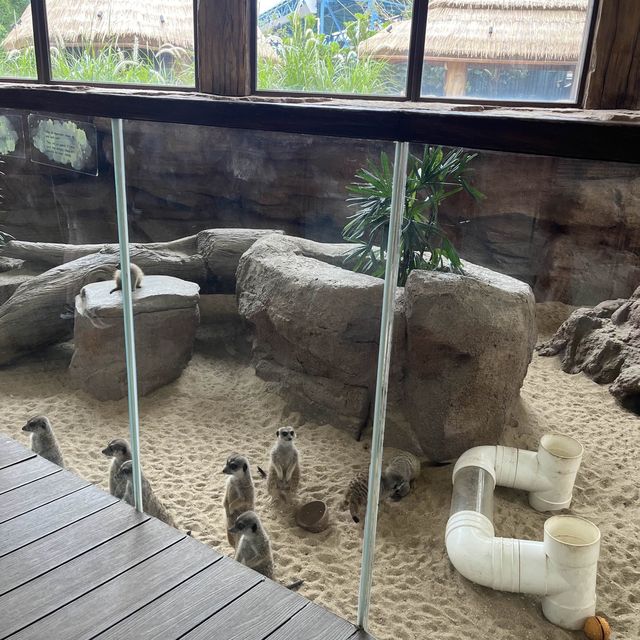 全新動物展館「樹懶與好友」