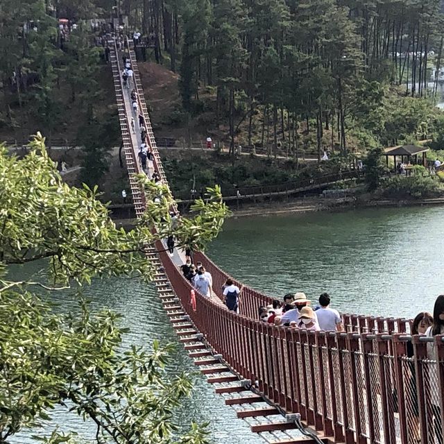 서울 근교 드라이브 코스: 오랑주리 식물원 카페, 마장호수 출렁다리