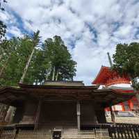 靈巖靜修！⛩️🧘 高野山