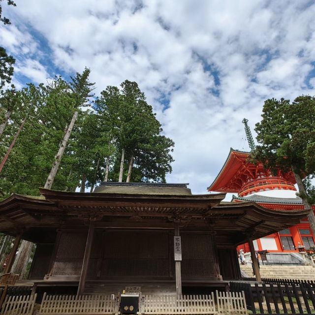 靈巖靜修！⛩️🧘 高野山