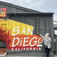 The Vibrant City of San Diego 
