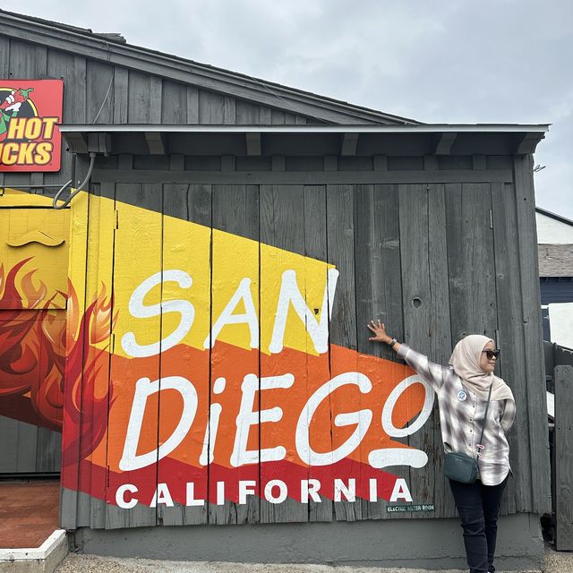 The Vibrant City of San Diego 
