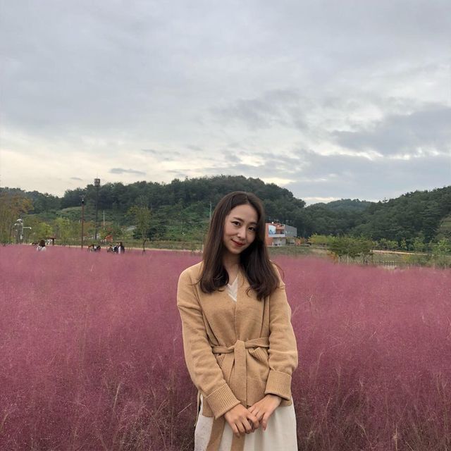 함안 가을여행지 악양생태공원🚶‍♀️🚶‍♂️