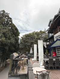  南投民宿/海拔1700公尺歐式鄉村木屋