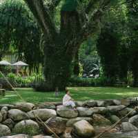 ที่พักกลางหุบเขา ที่ Flora Creek , Chiang Mai ⛰️