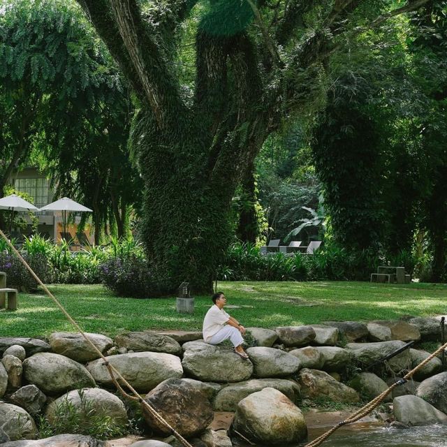 ที่พักกลางหุบเขา ที่ Flora Creek , Chiang Mai ⛰️