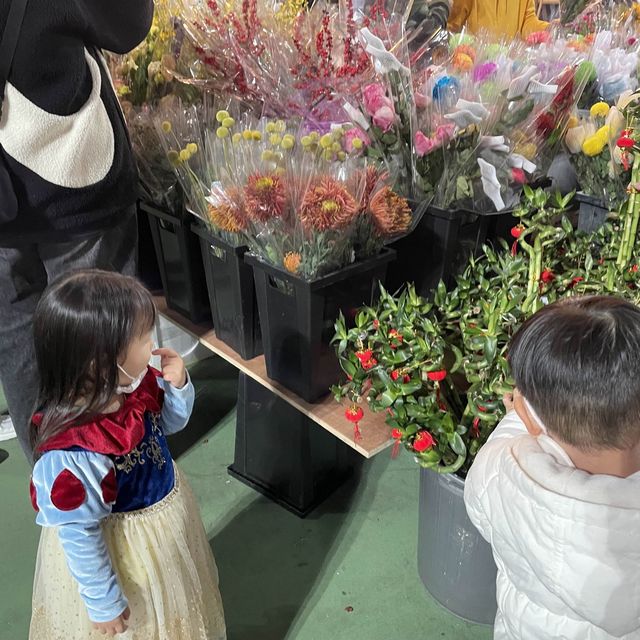 2023年🐷行好運，行返個花市最好運