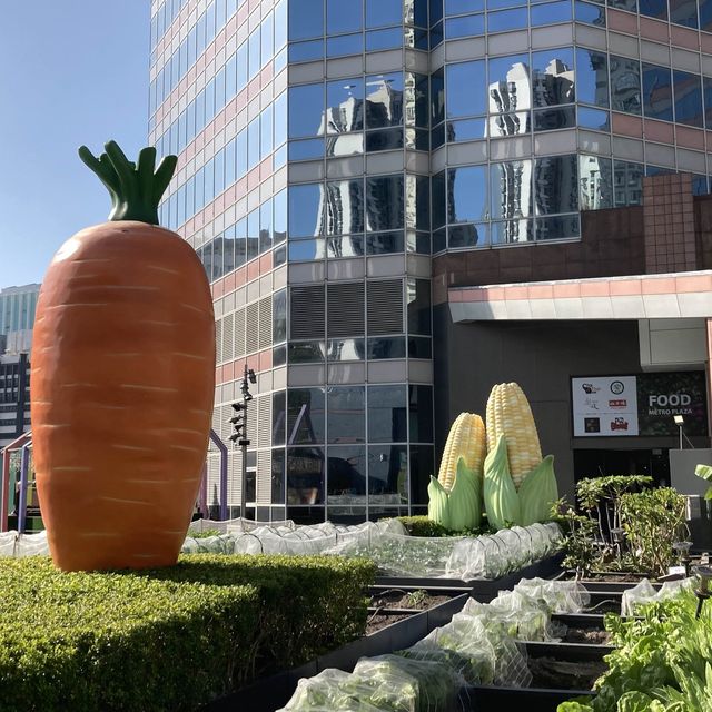 《🍆🫑🎃巨型蔬果主題兒童遊樂場～歷奇公園》