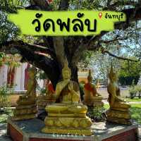 วัดพลับ  วัดเก่าแก่ในจังหวัดจันทบุรี