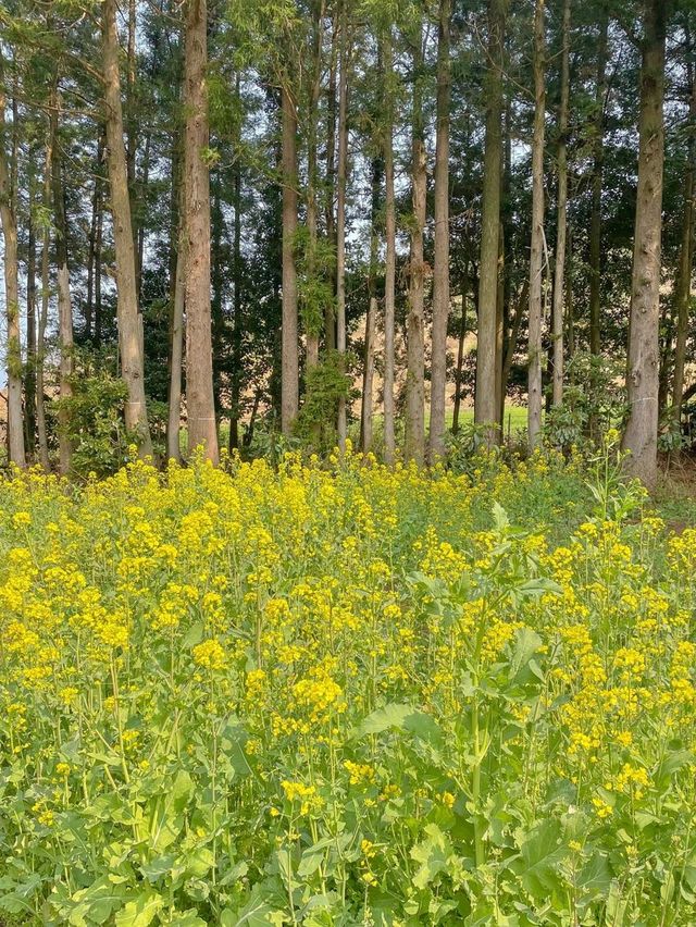 ๋ง์น ๋ํ ์ ๊ฐ์ ๋น๋ฐ์ ์ฒ๐ณ ๋ง์น ๋ํ ์ ๊ฐ์ ๋น๋ฐ์ ์ฒ๐ณ