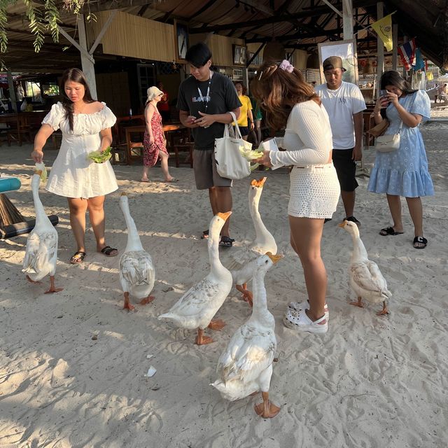 หาดเทียน หาดยอดฮิตที่ต้องมาถ่ายรูปกับน้องห่าน