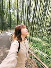 京都嵐山竹林小徑