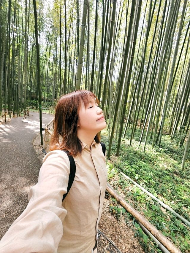 京都嵐山竹林小徑