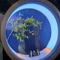 桂花公社的參觀的個人感受