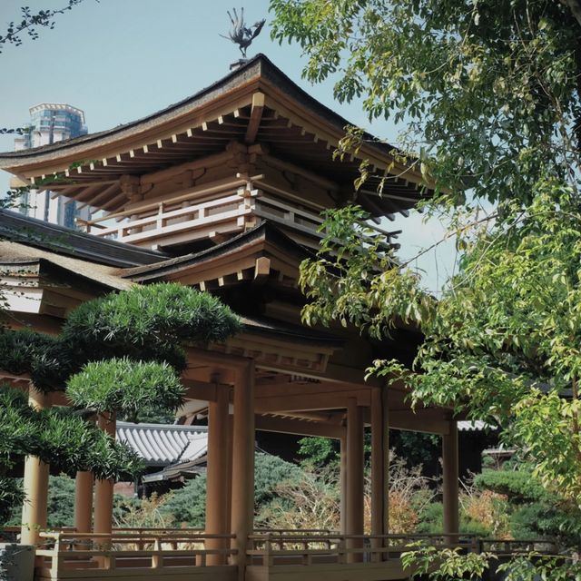  具有香港小京都之稱 - 南蓮園池