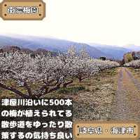 南濃梅園